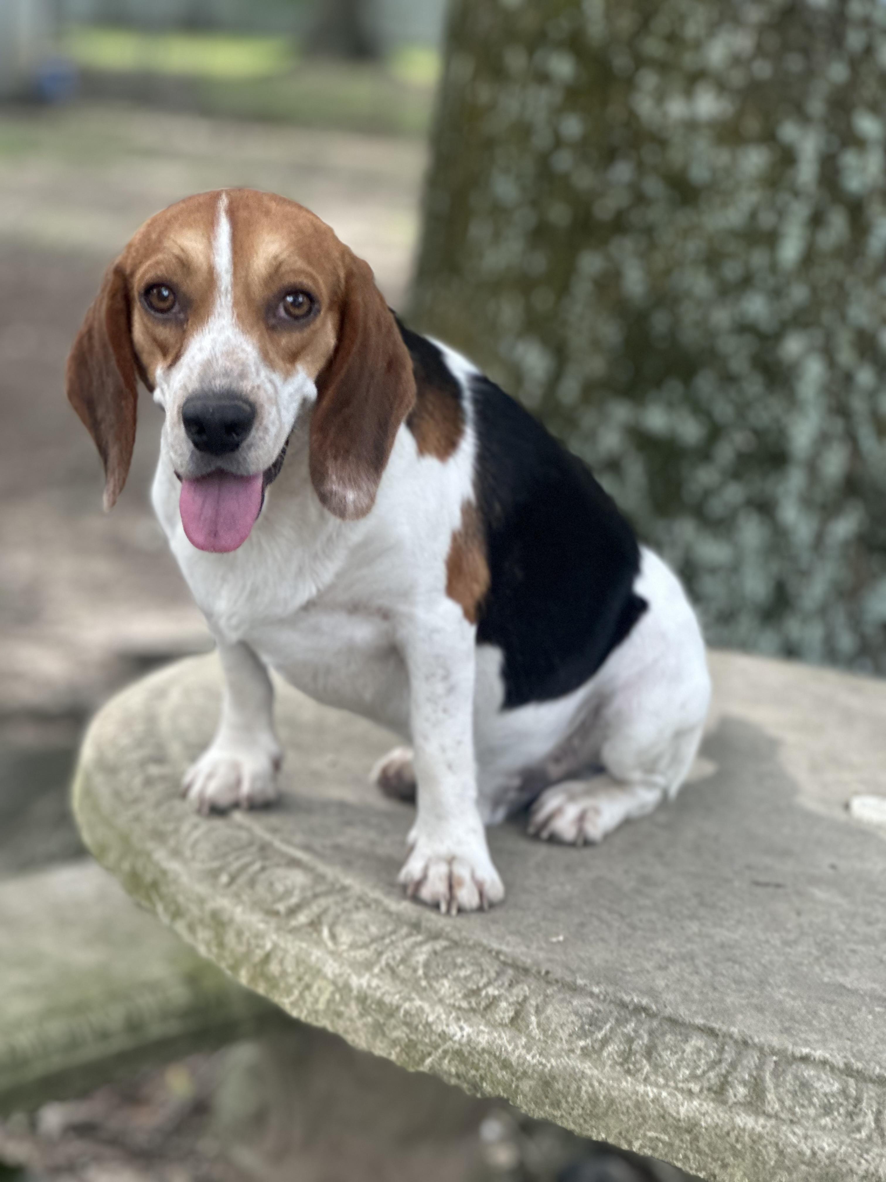 Linus
