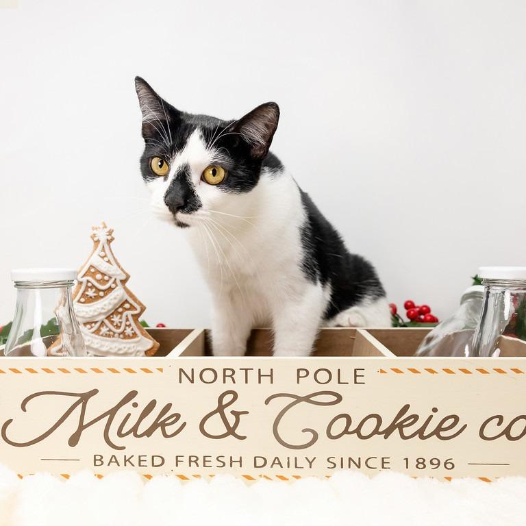 Ovaltine thumbnail 6