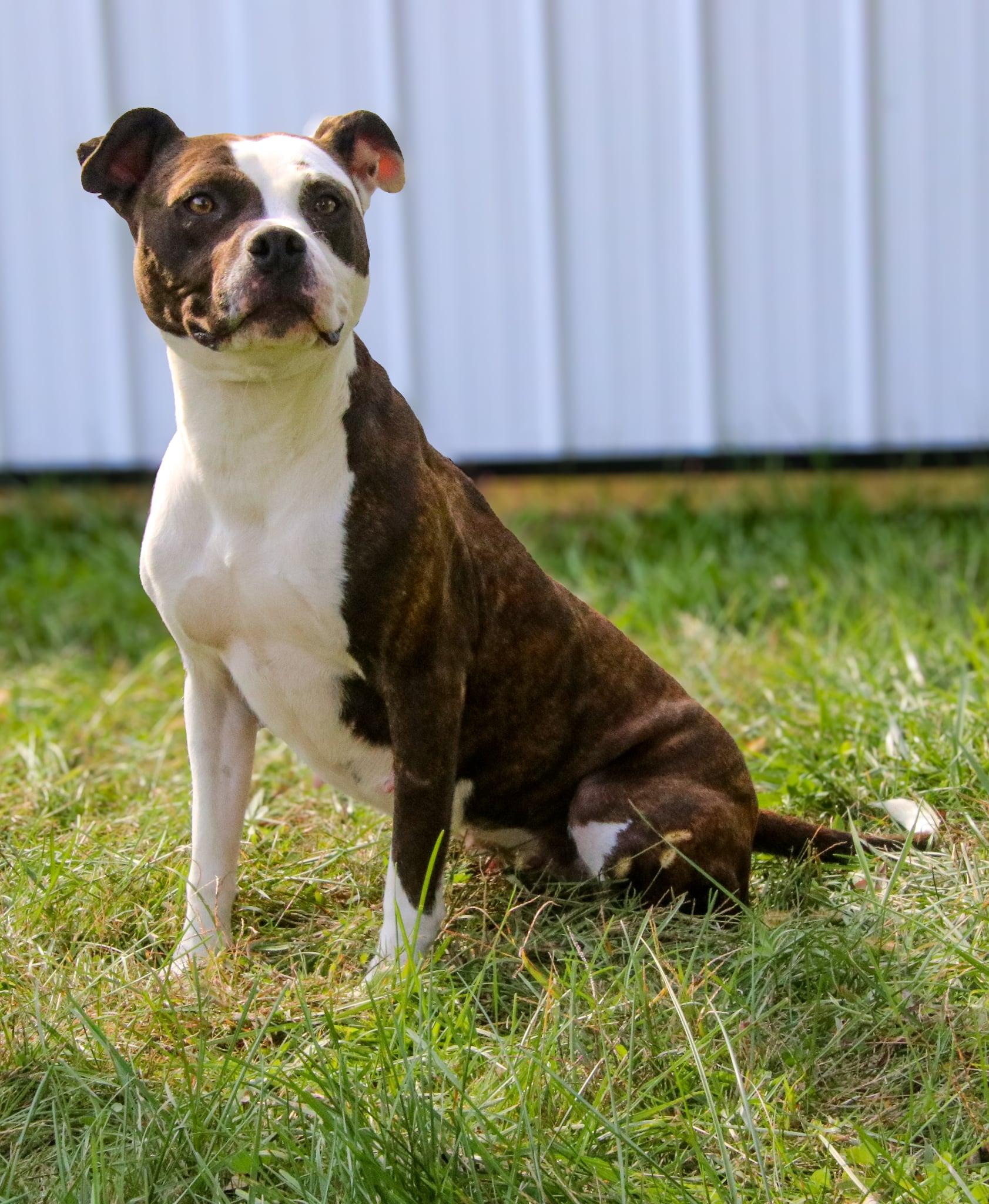 Ladybird thumbnail 2