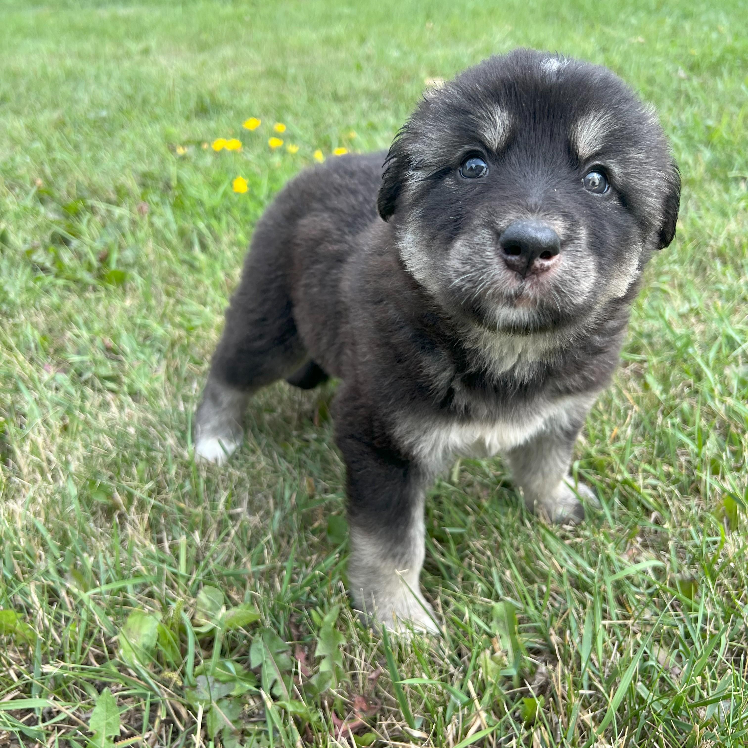 Quinn