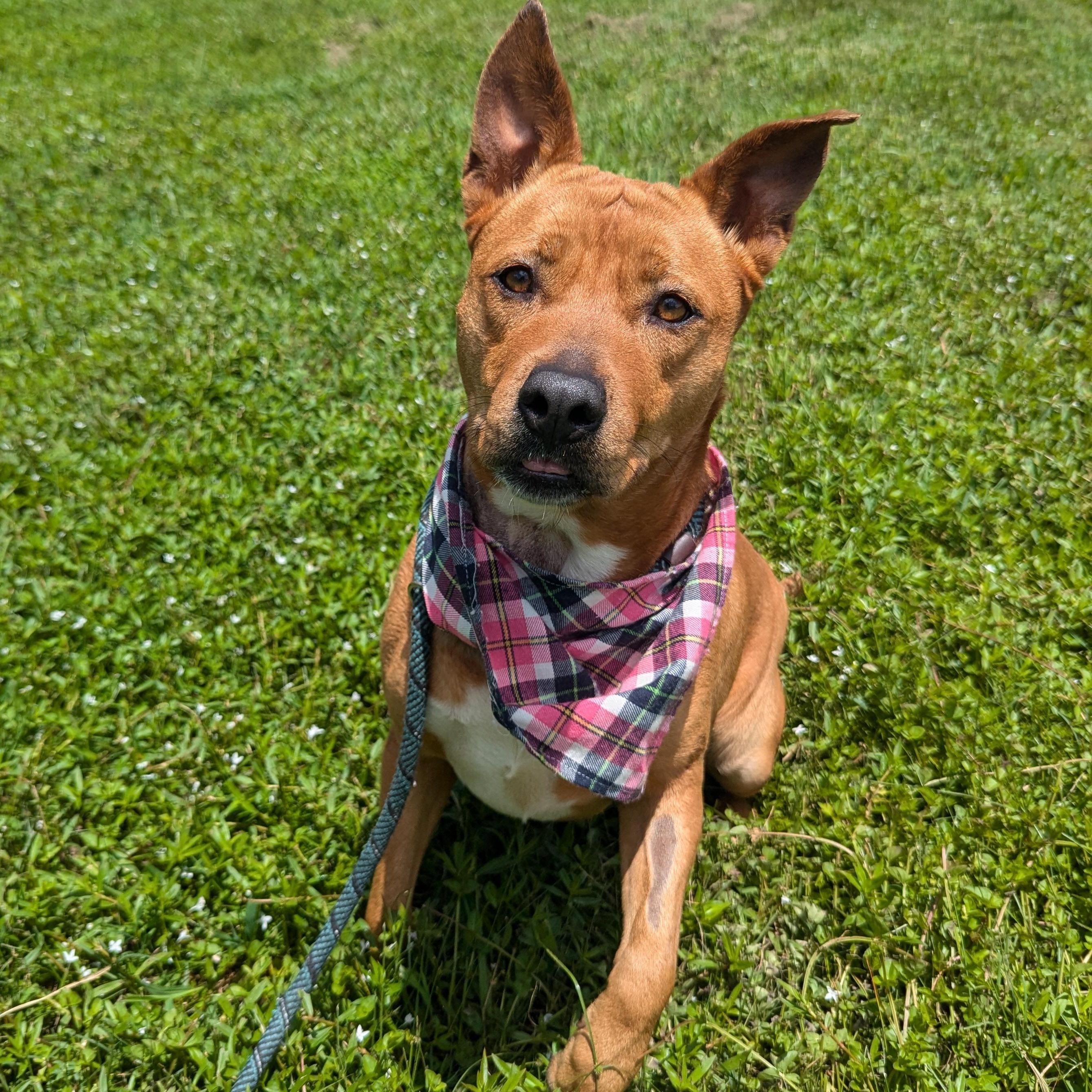 Honey — thumbnail 6