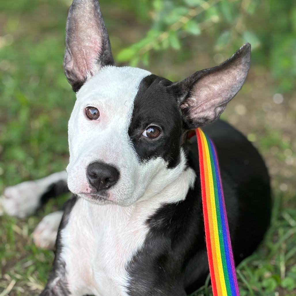 Minnie — thumbnail 2