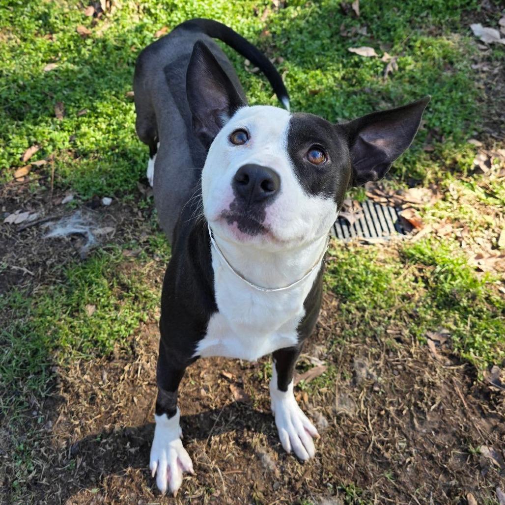 Minnie — thumbnail 3