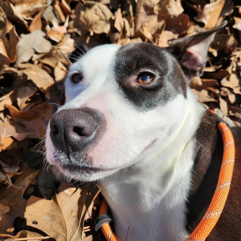 Minnie — thumbnail 4