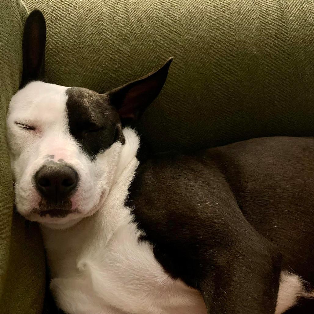 Minnie — thumbnail 5