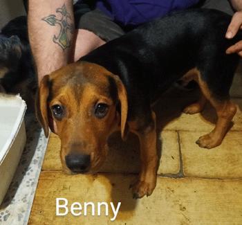 Benny