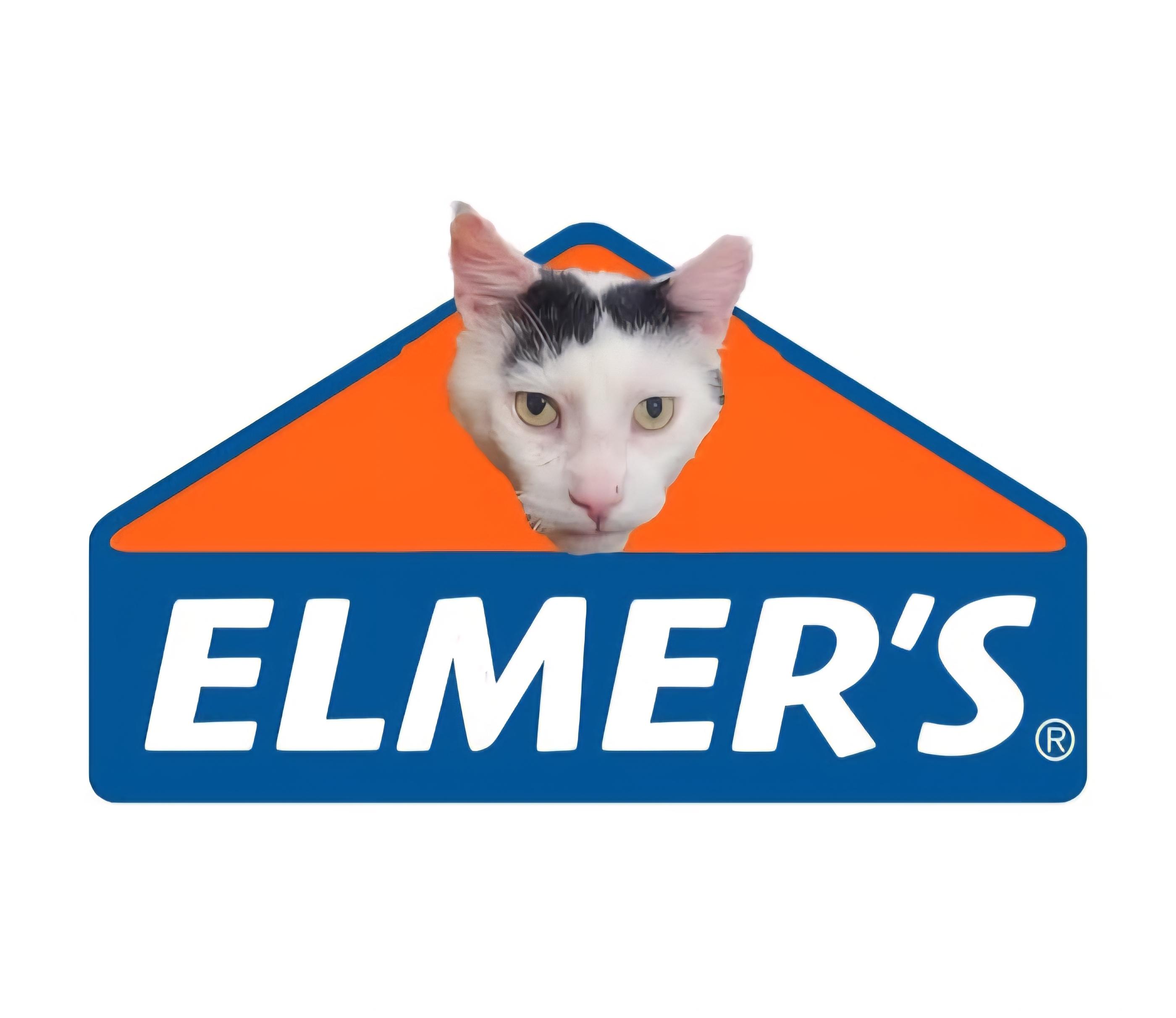 Elmer-LAP CAT!