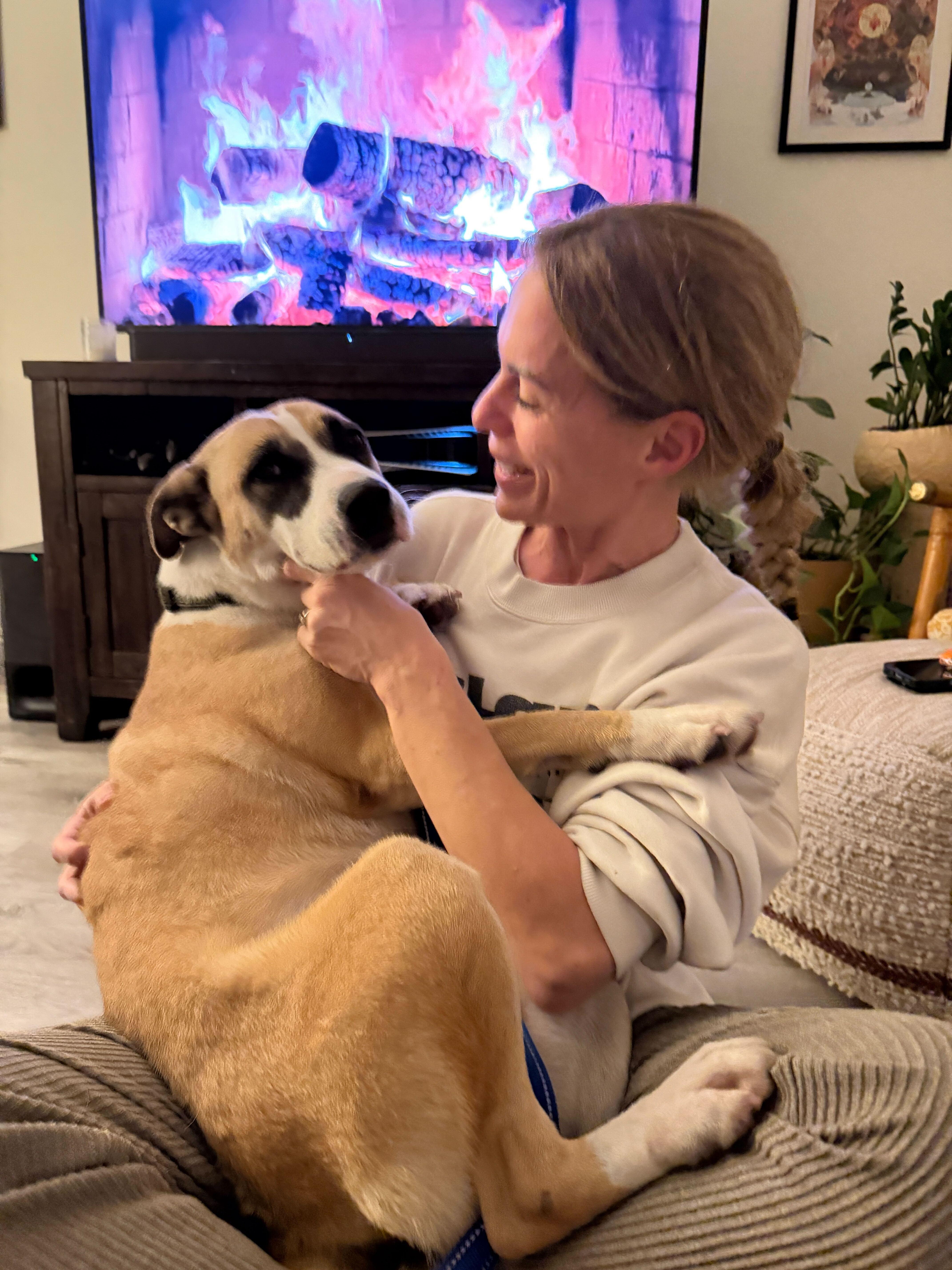 Enlarge Saint, a ADOPTABLE mixed breed in Los Angeles, CA image 2/6