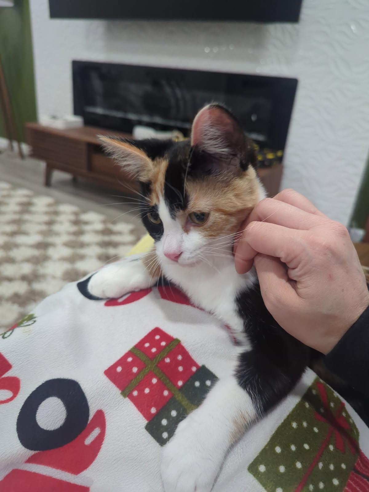 Godiva  Irresistible  thumbnail 3