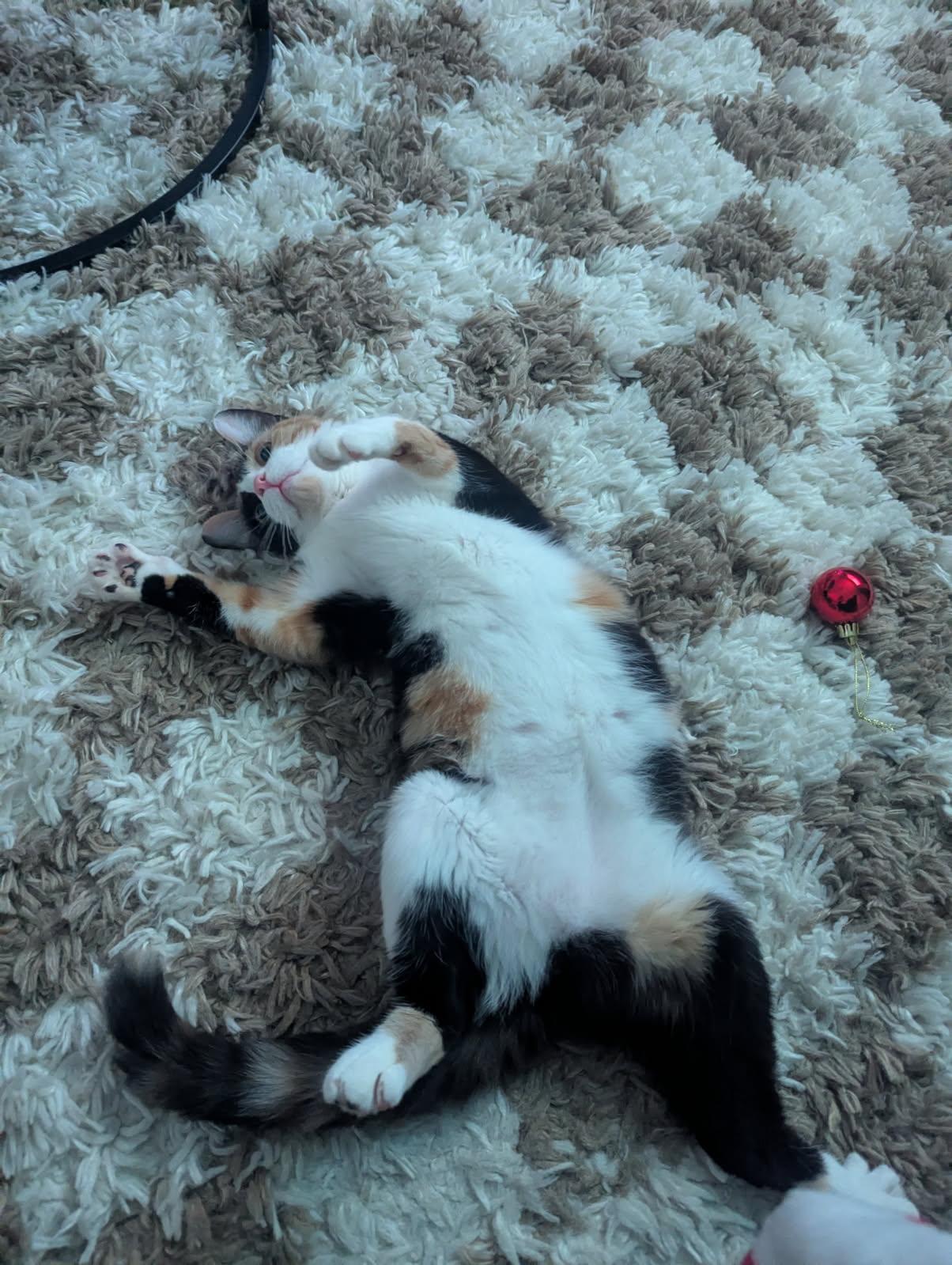 Godiva  Irresistible  thumbnail 5