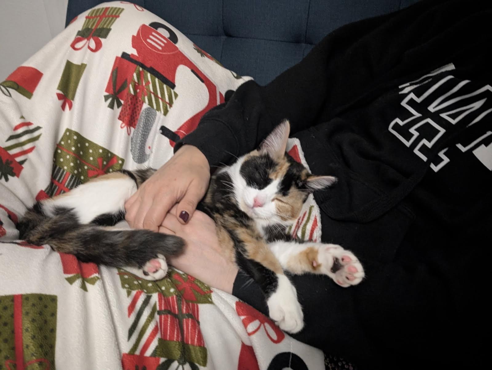 Godiva  Irresistible  thumbnail 6