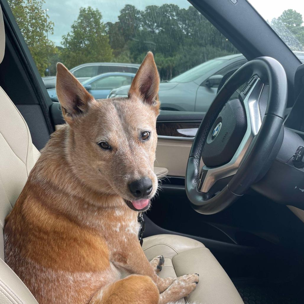 Marley Newton thumbnail 2