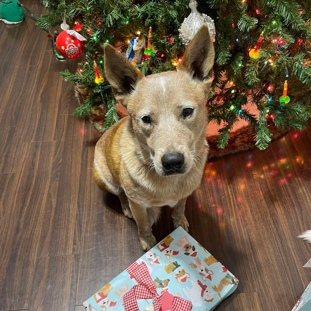 Marley Newton thumbnail 3