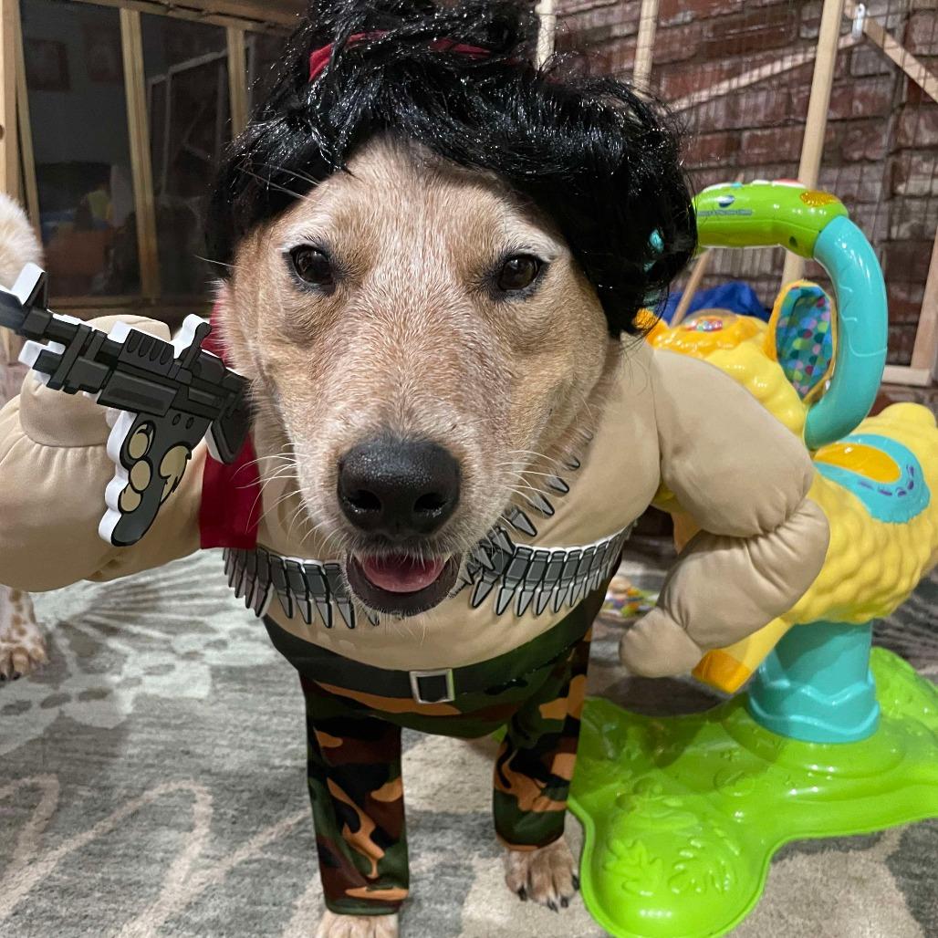 Marley Newton thumbnail 5