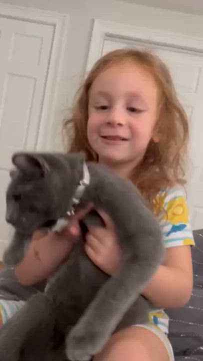 Enlarge Rocky and Bella!  Bonded duo who will win your heart!  VIDEOS!  LOVE KIDS!, an adopted mixed breed in Bedford Hills, NY video 2/6