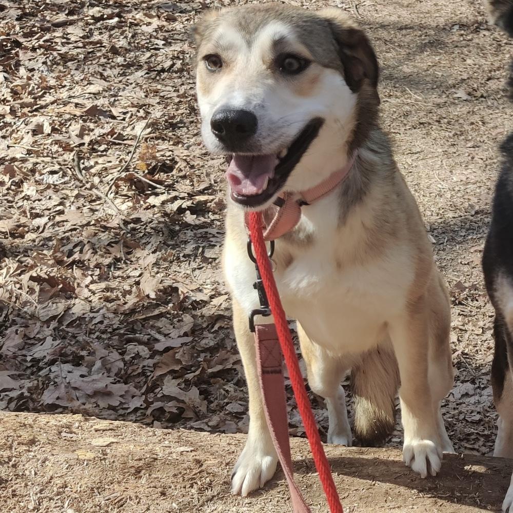 Page Charm thumbnail 2