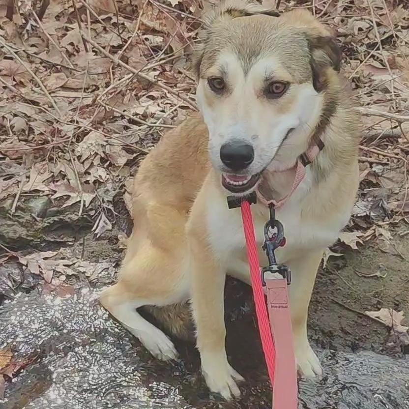 Page Charm thumbnail 3