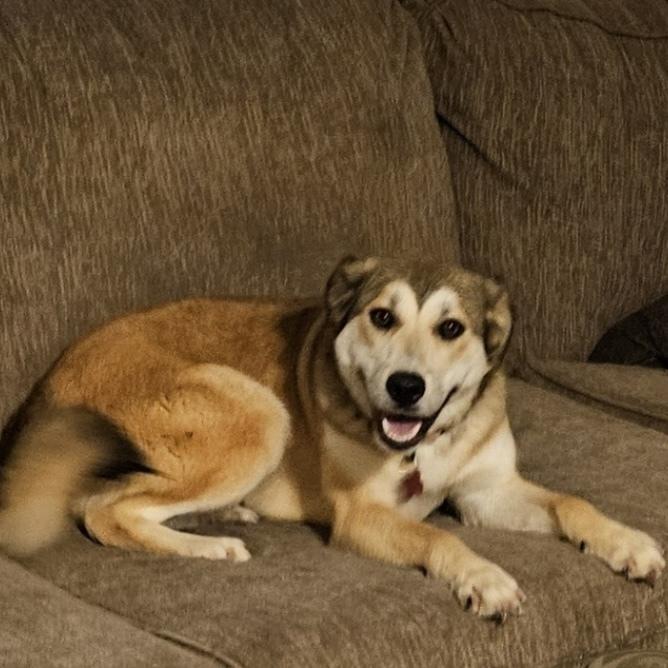 Page Charm thumbnail 4