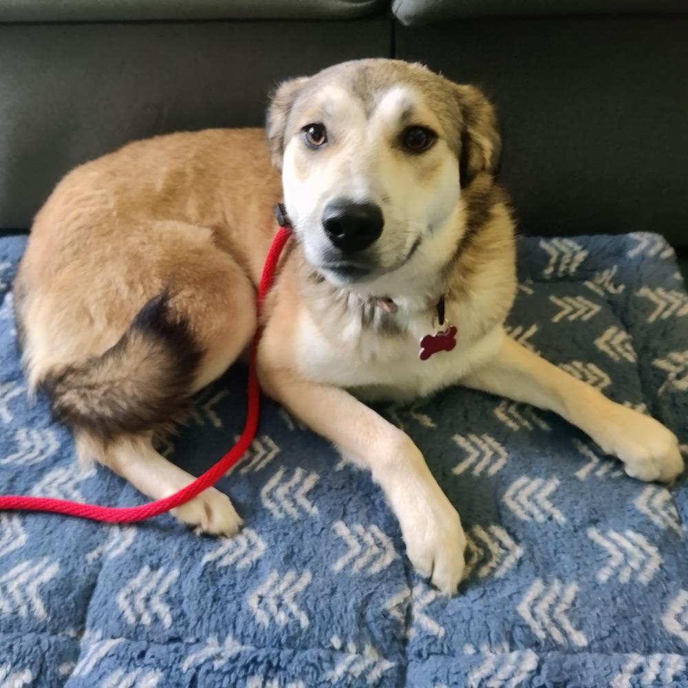 Page Charm thumbnail 5