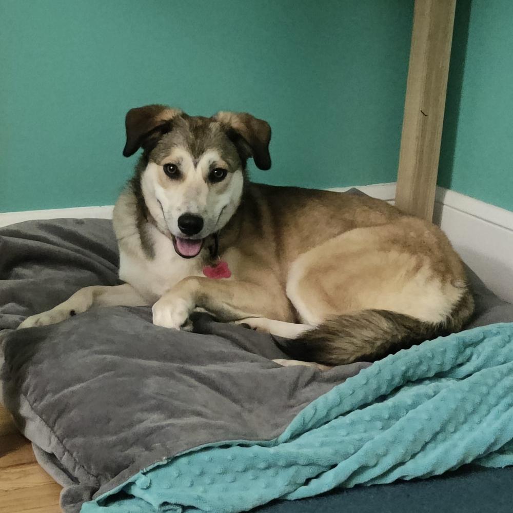 Page Charm thumbnail 6