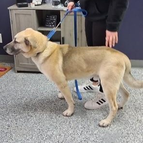 Hunter — thumbnail 3