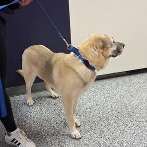 Hunter — thumbnail 5