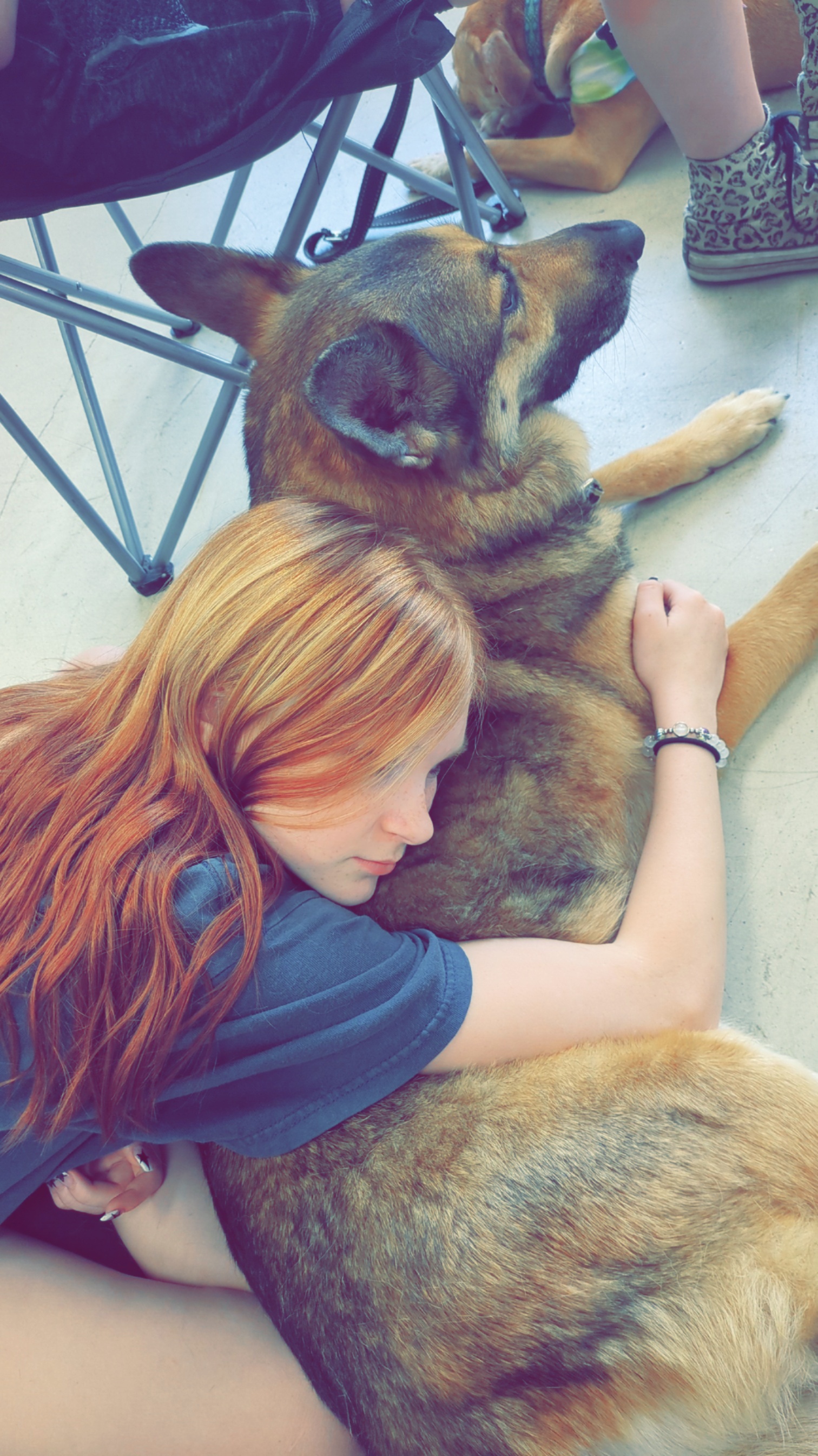 Enlarge Annabelle, an adopted German Shepherd Dog in Ponca City, OK image 2/3