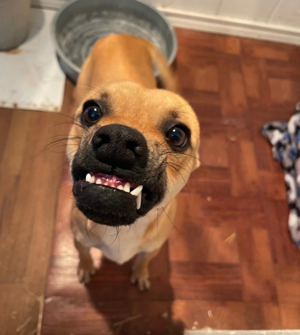 Smiley  3