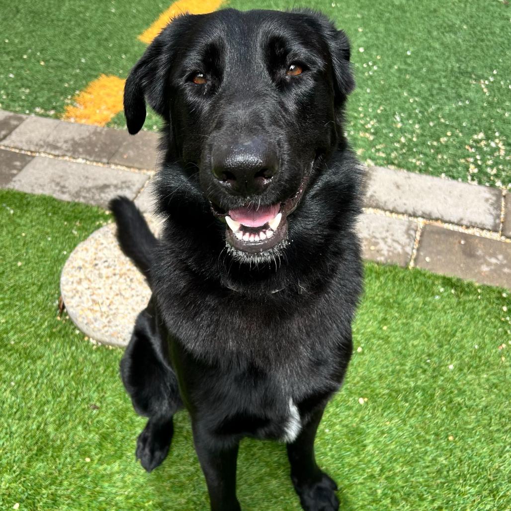 Bear Boone — thumbnail 2