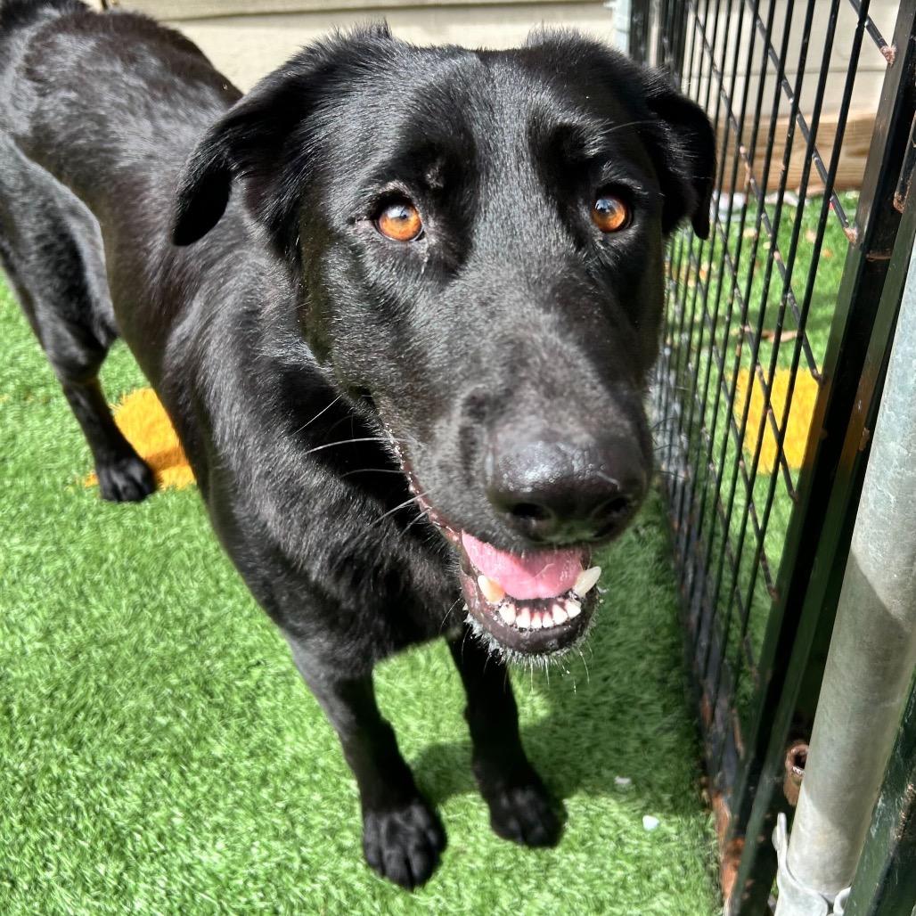 Bear Boone — thumbnail 4