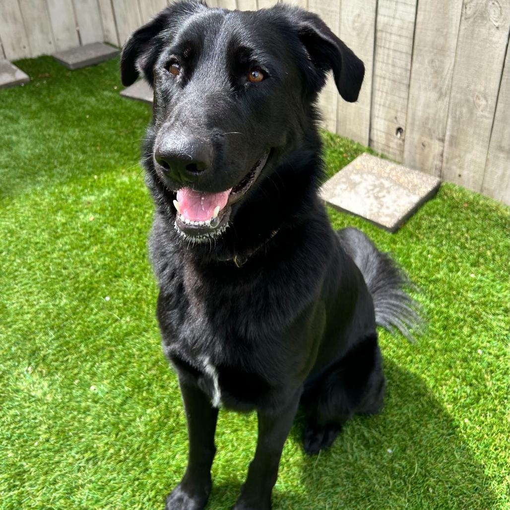 Bear Boone — thumbnail 5