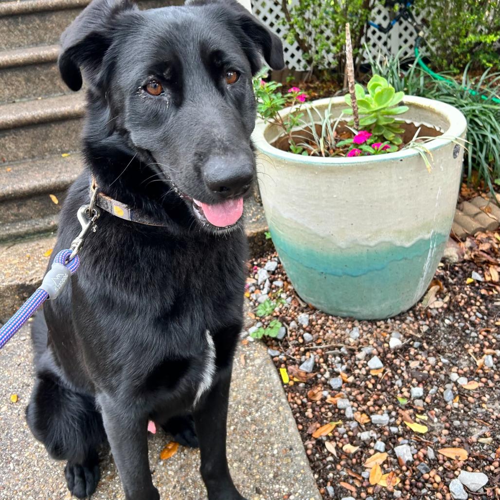 Bear Boone — thumbnail 6