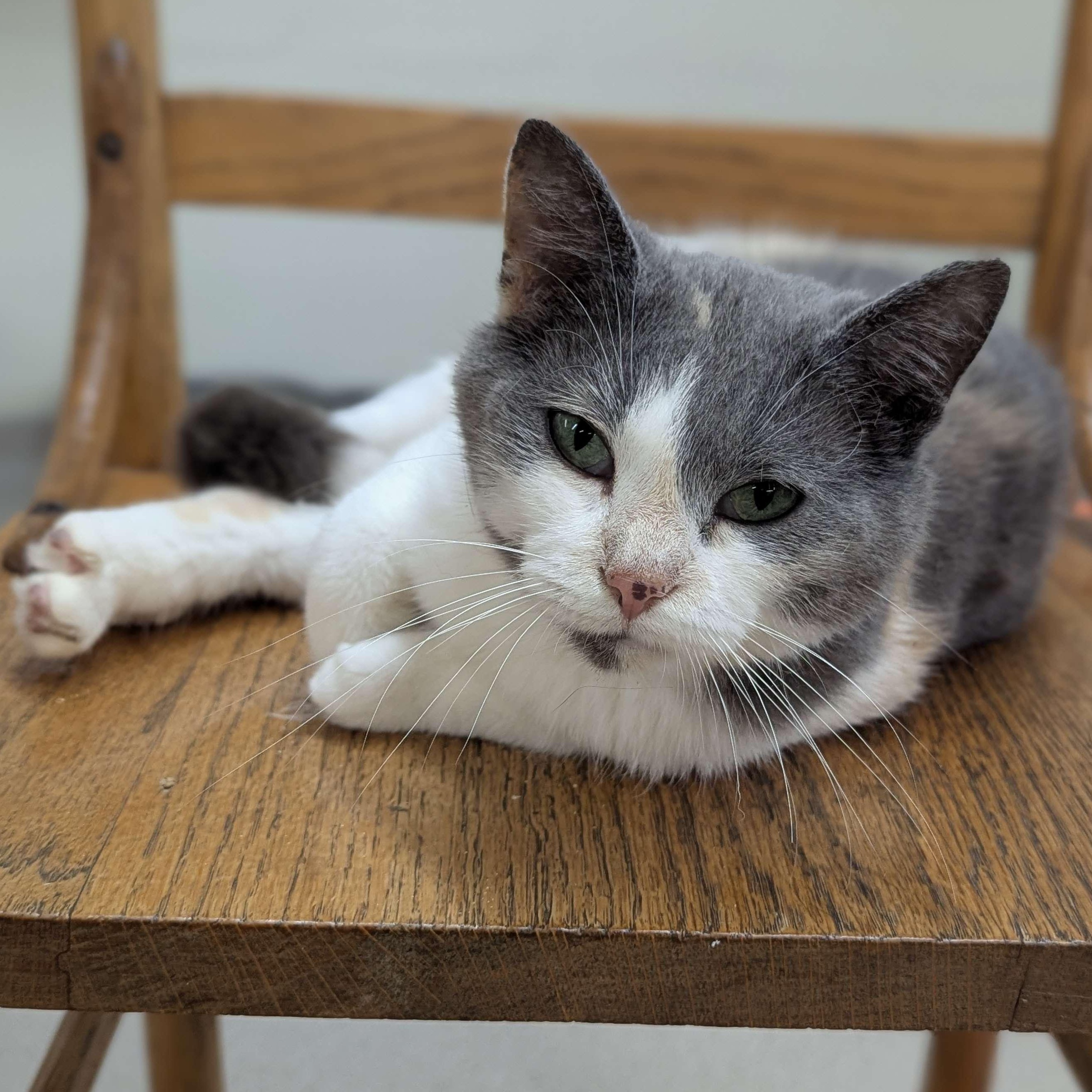 Moxie - Love Bug
