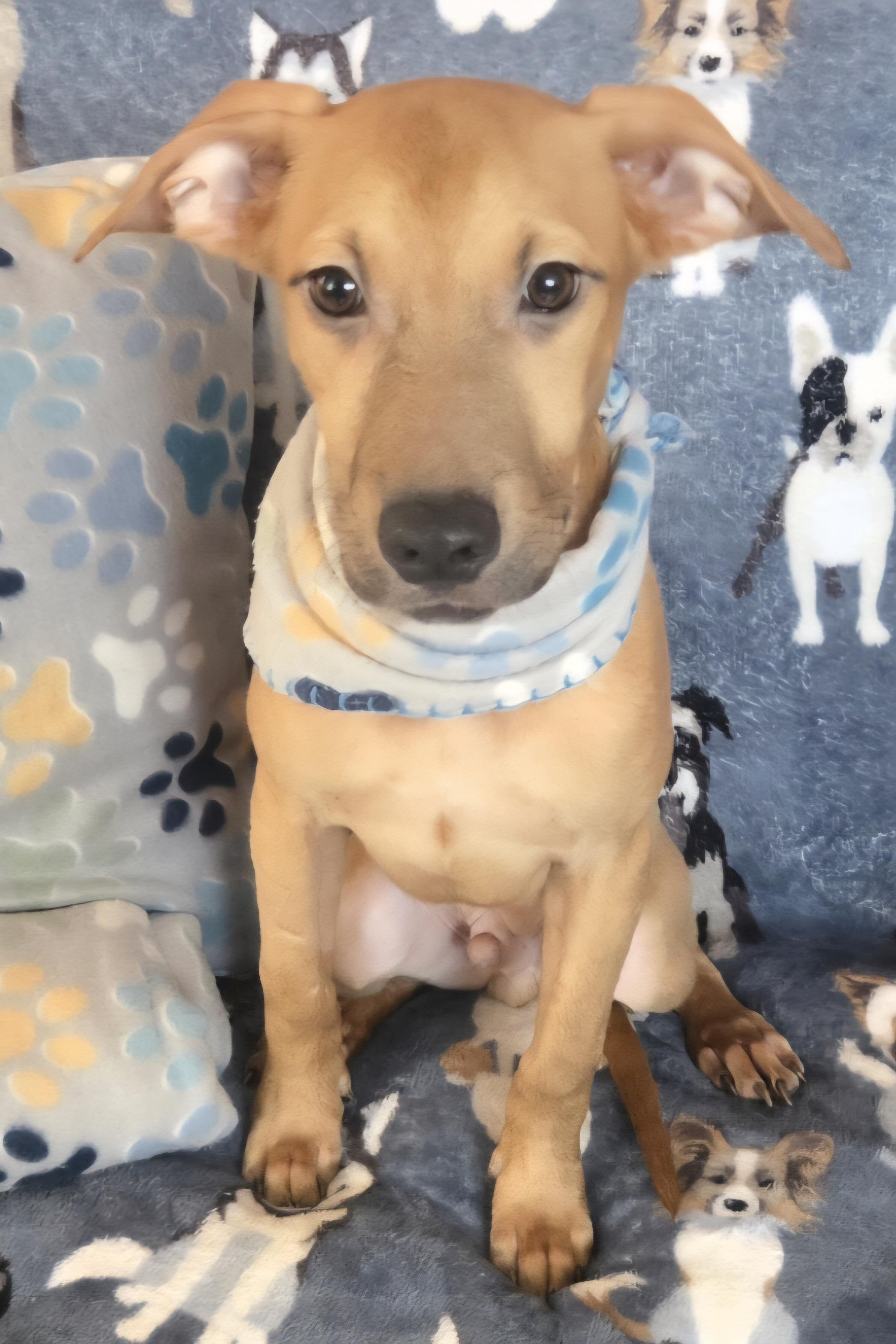 Tyson "it's Snuggle Time!" thumbnail 3