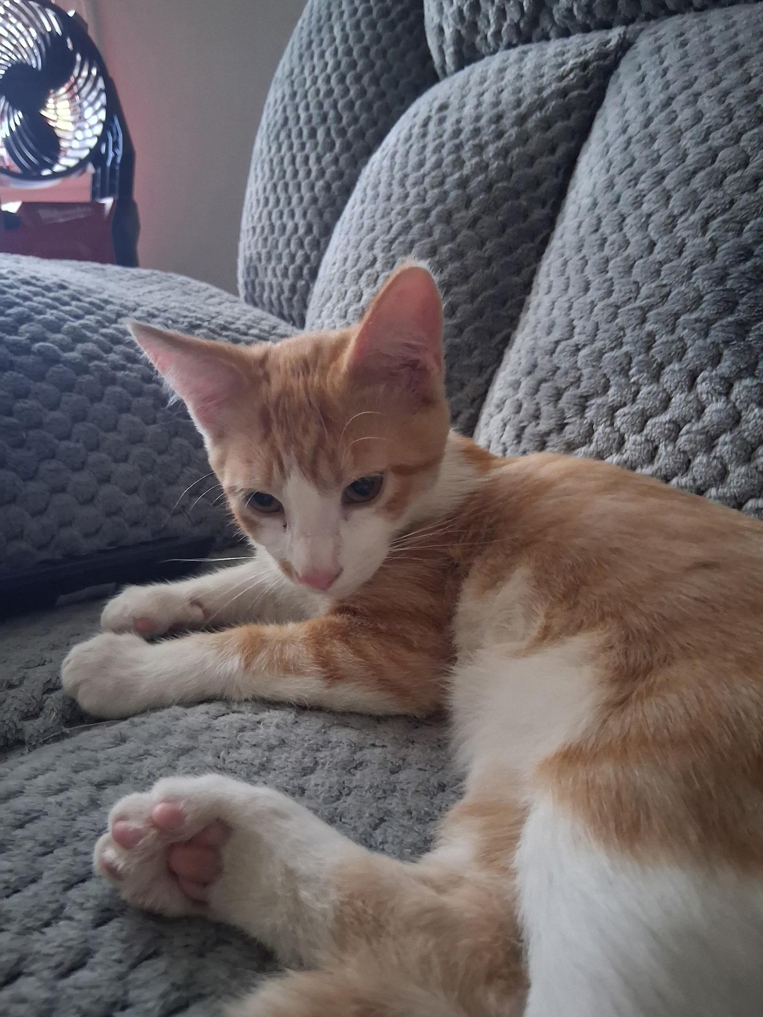 Walter photo