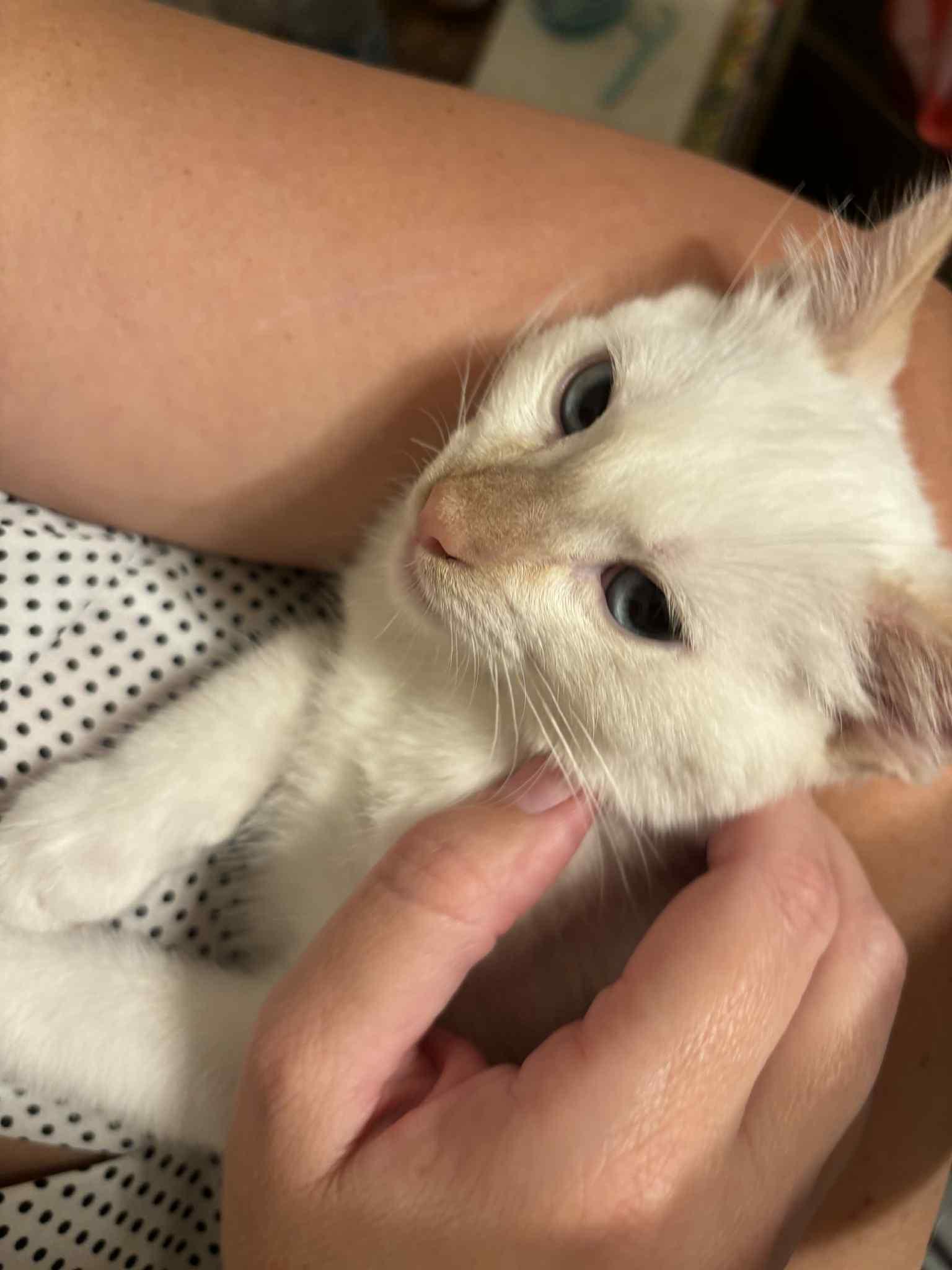 Bruce Banner ( Erin )