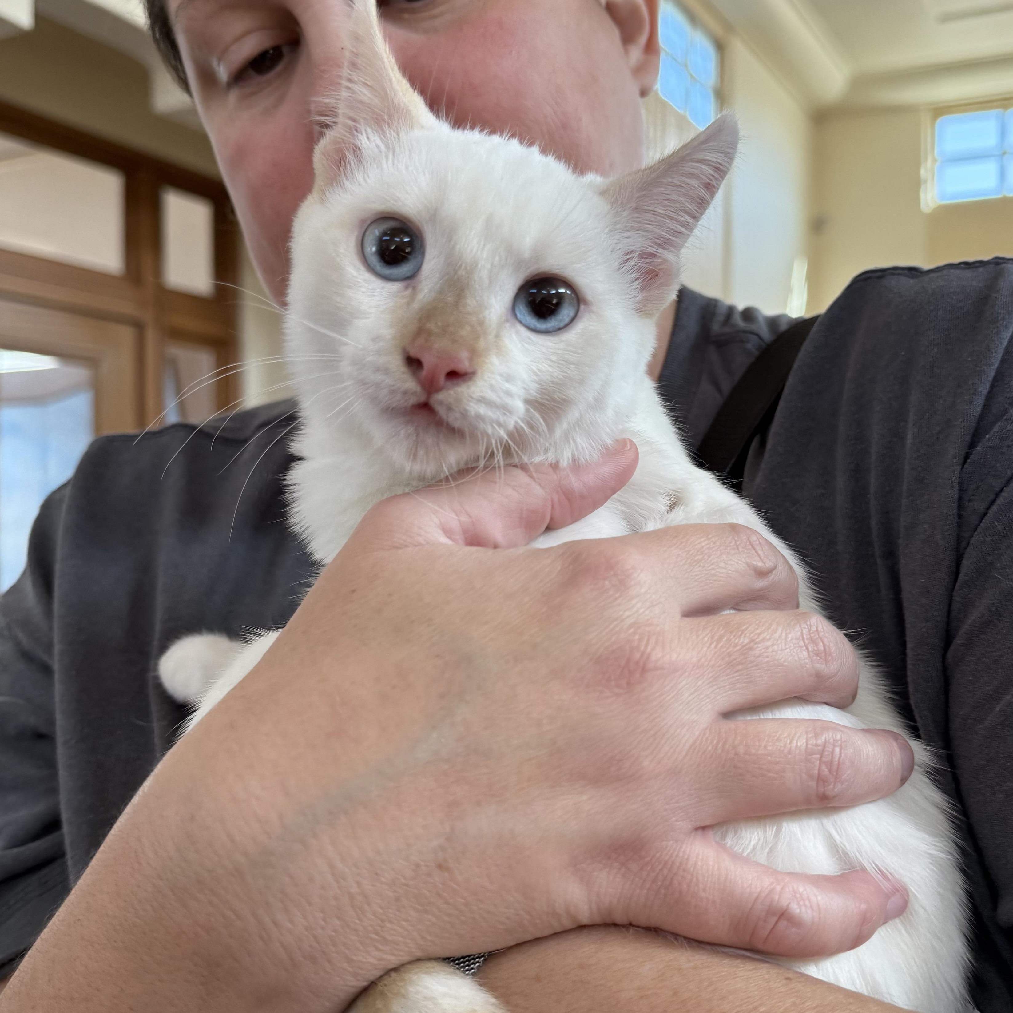 Bruce Banner ( Erin )