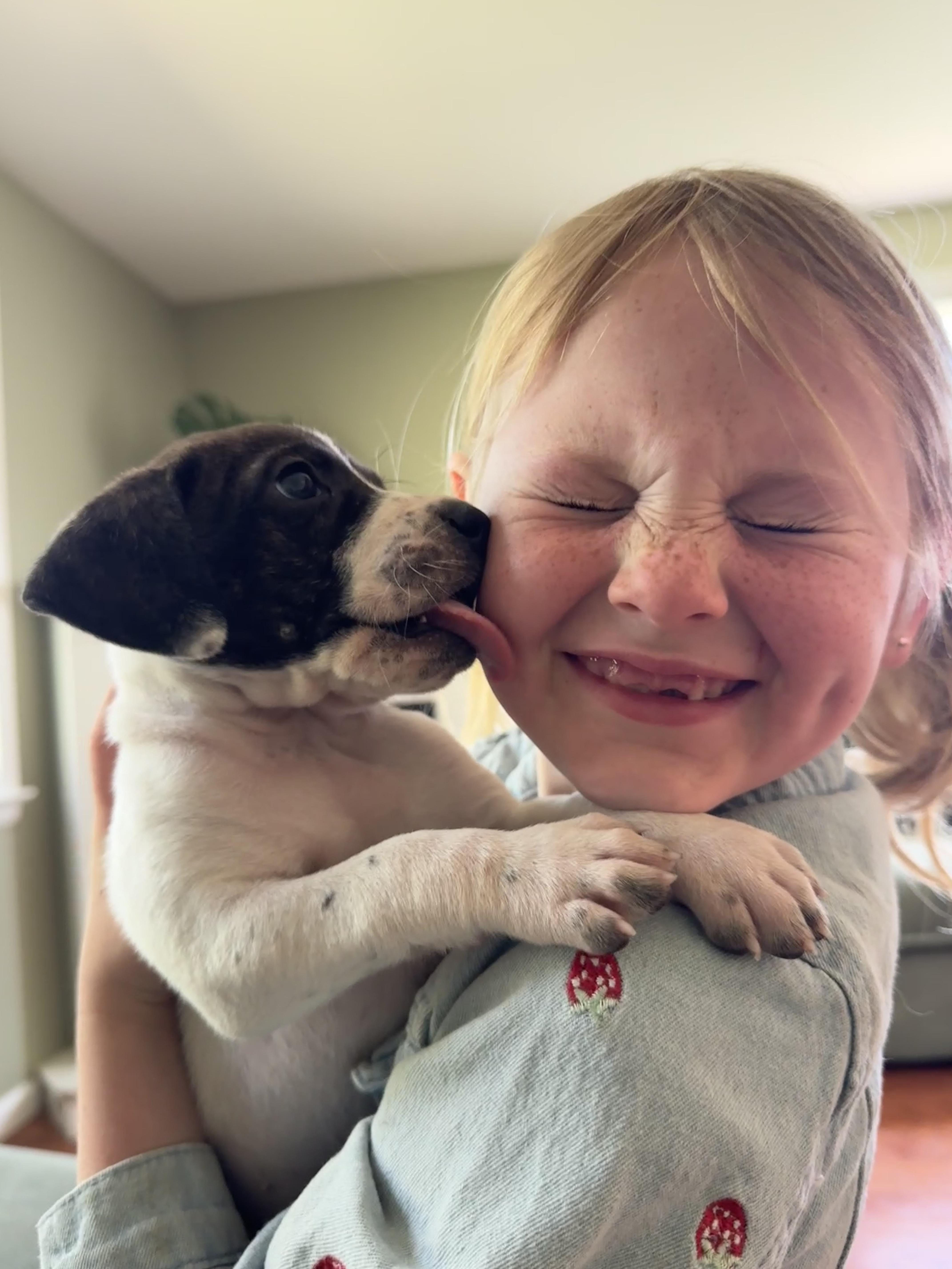 Enlarge Yarrow , a ADOPTABLE mixed breed in HONEY BROOK, PA image 3/6