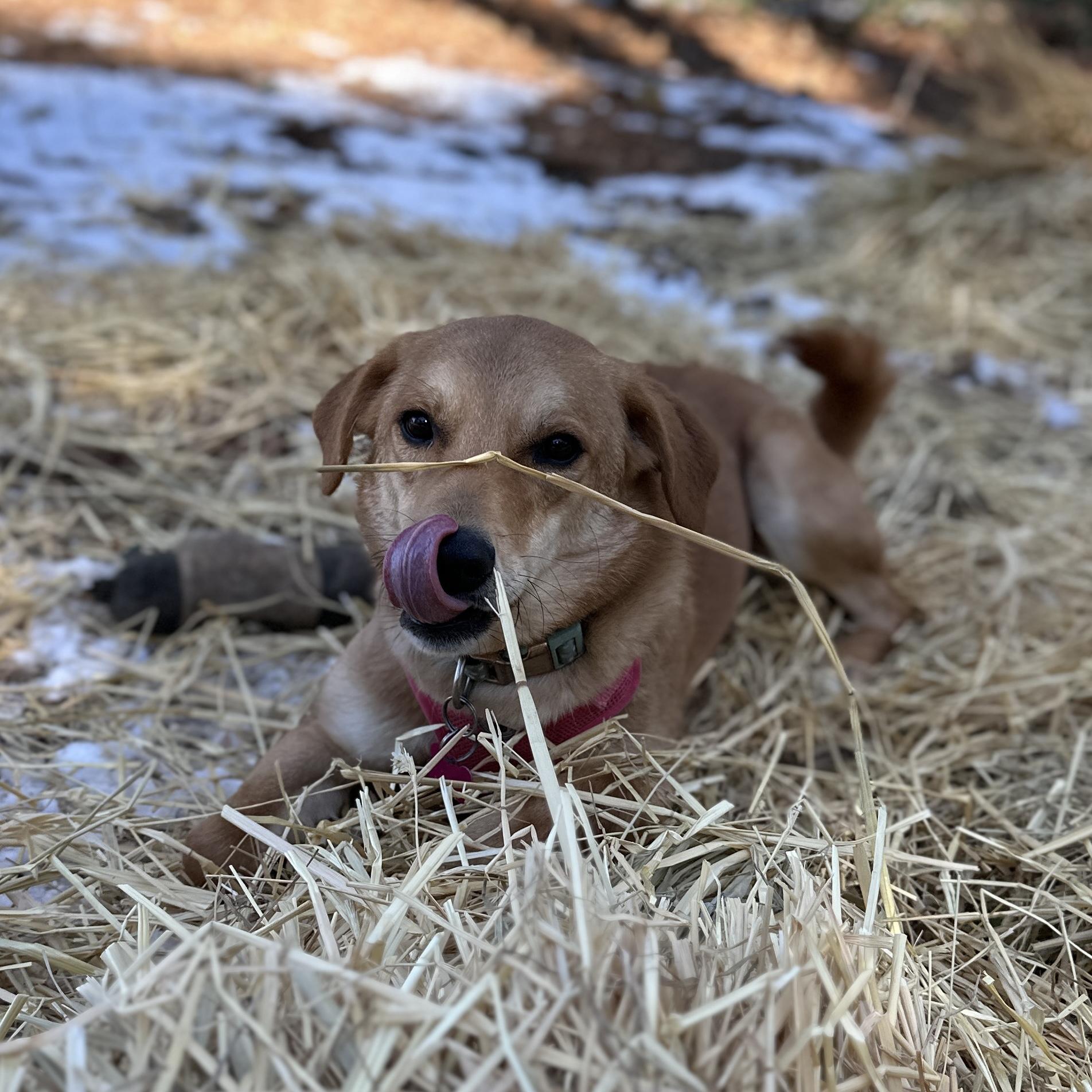 Lyric — thumbnail 3