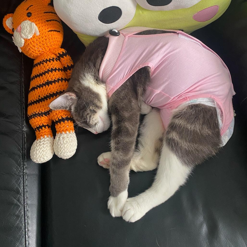 Puddles — thumbnail 6