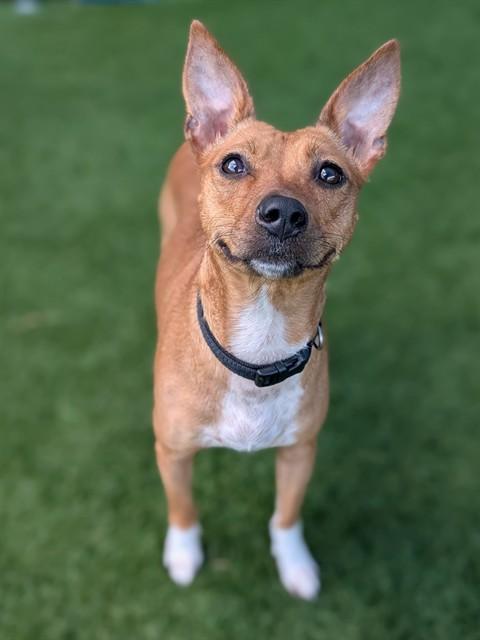 ARYNA — thumbnail 2