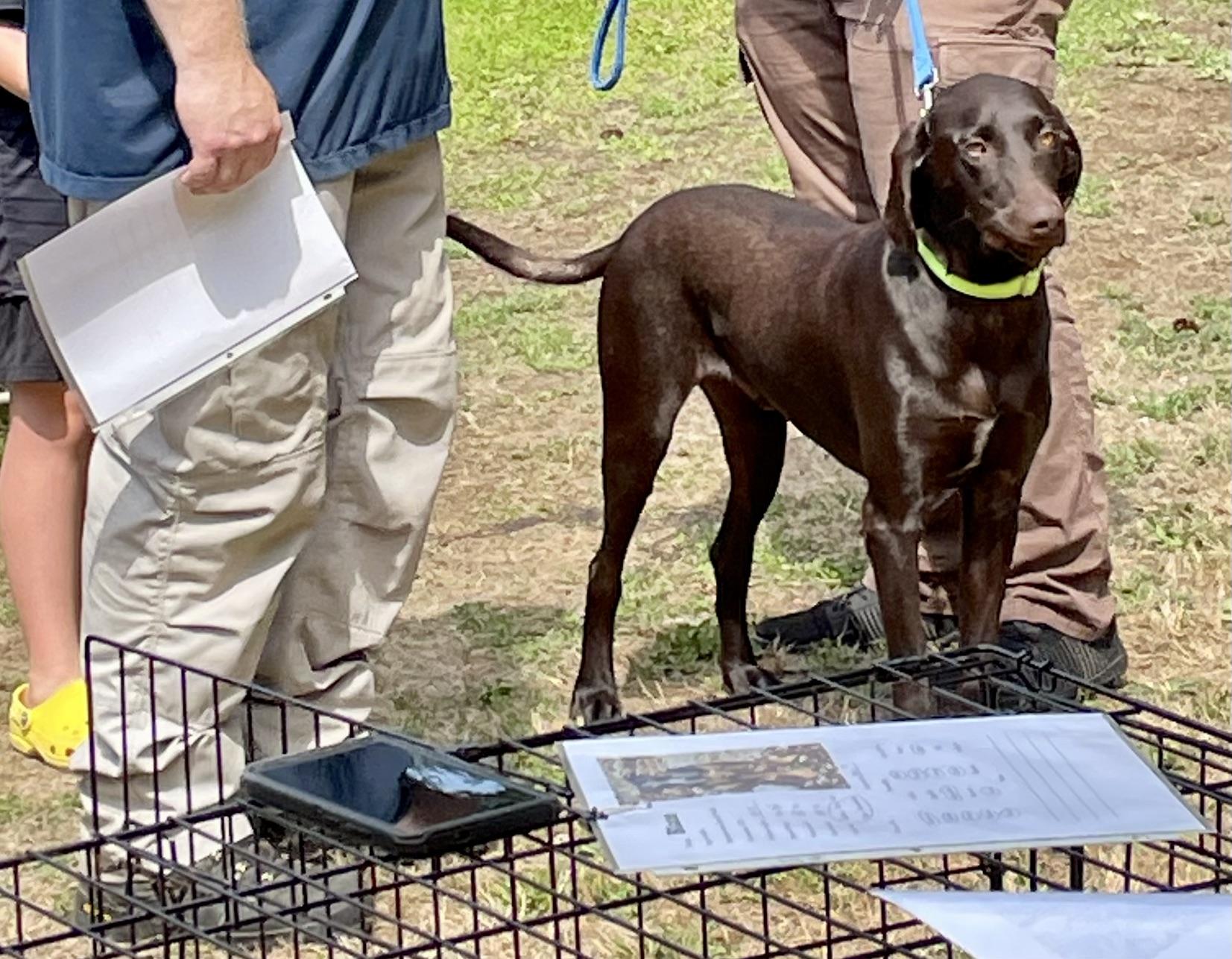 DaVinci “Vinnie”