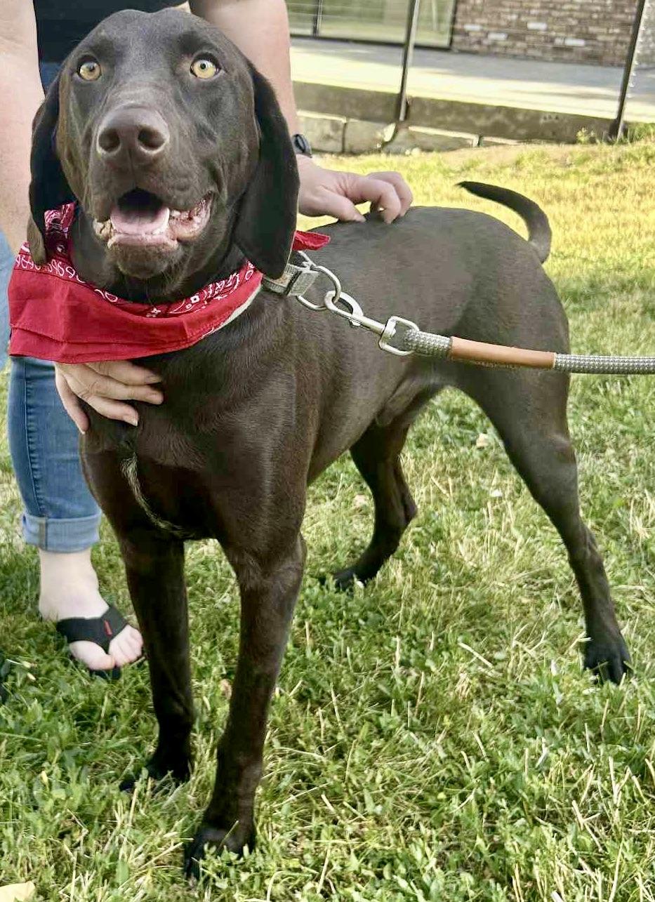 DaVinci “Vinnie”