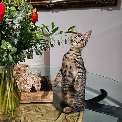 Cameron Clark — thumbnail 2