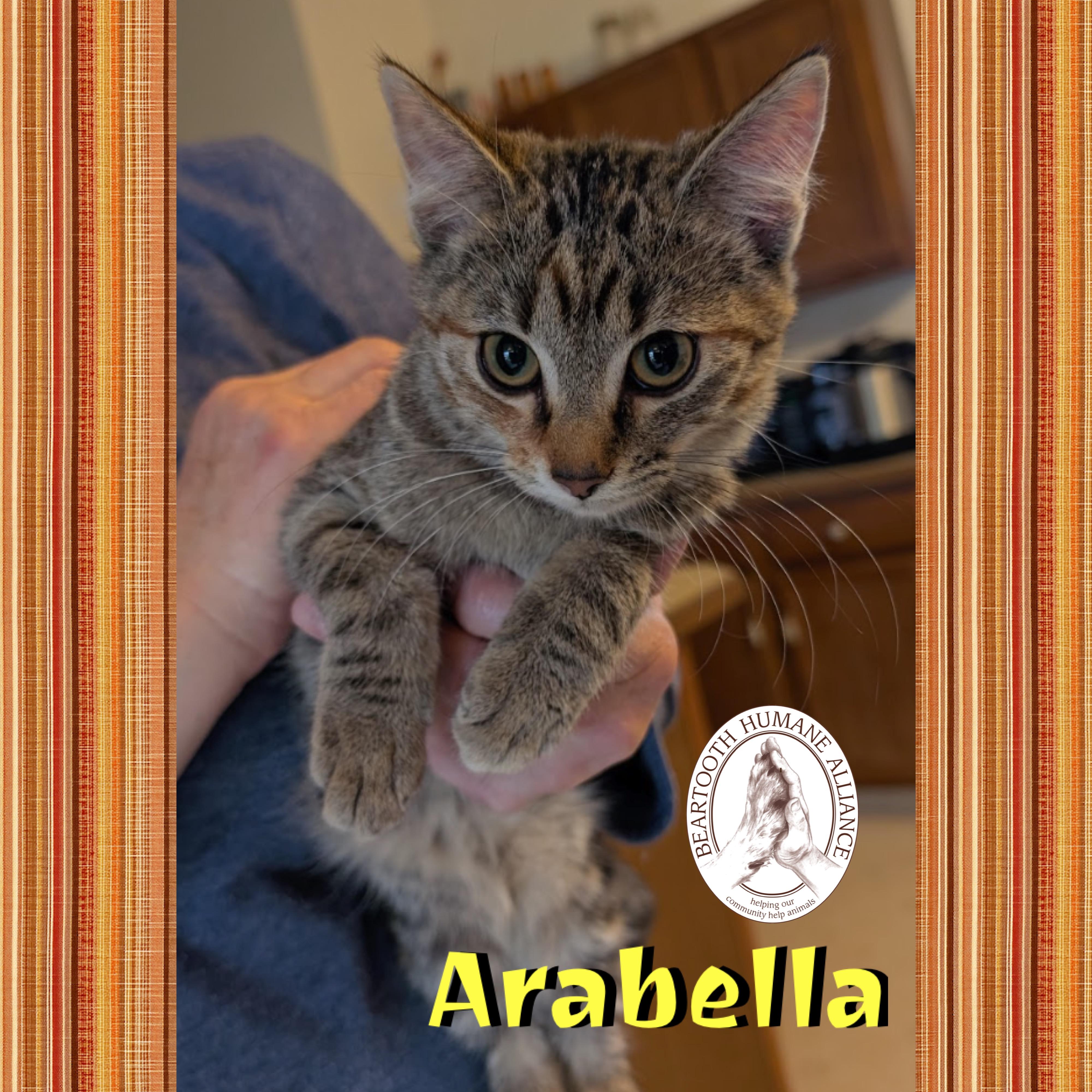 Arabella