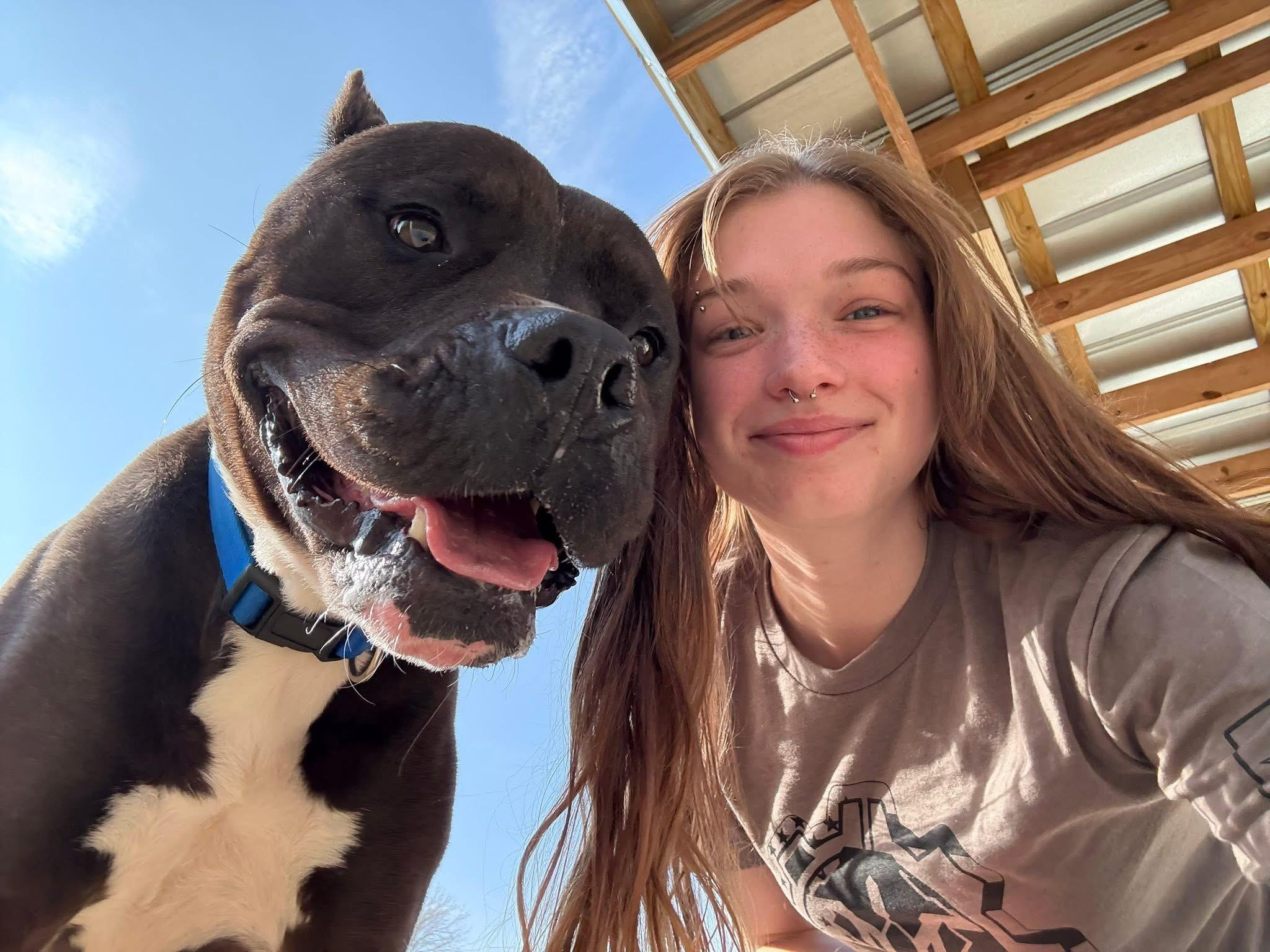 Franklin, a Adoptable Cane Corso in Saluda, VA image 6/6