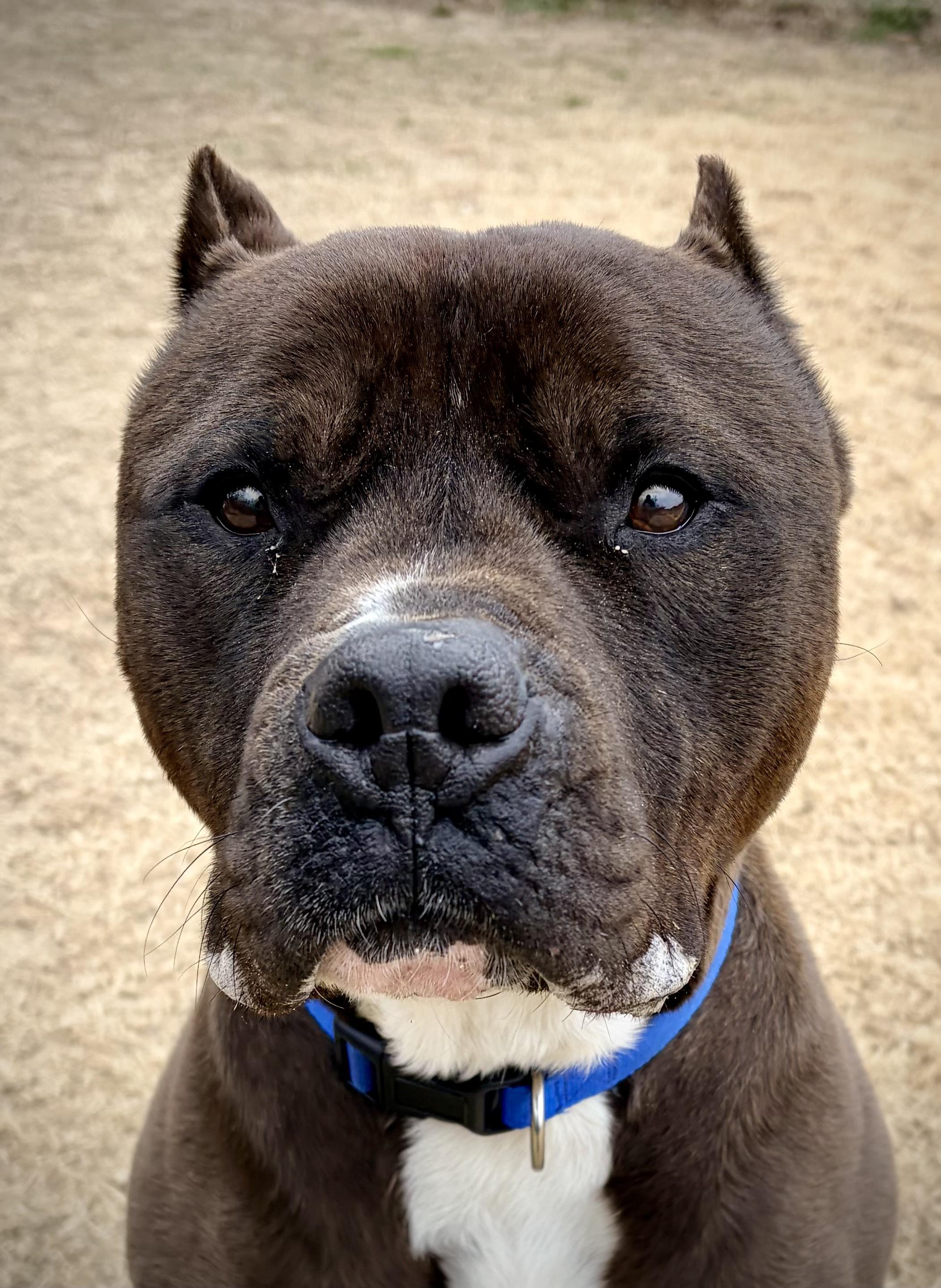 Franklin thumbnail 5