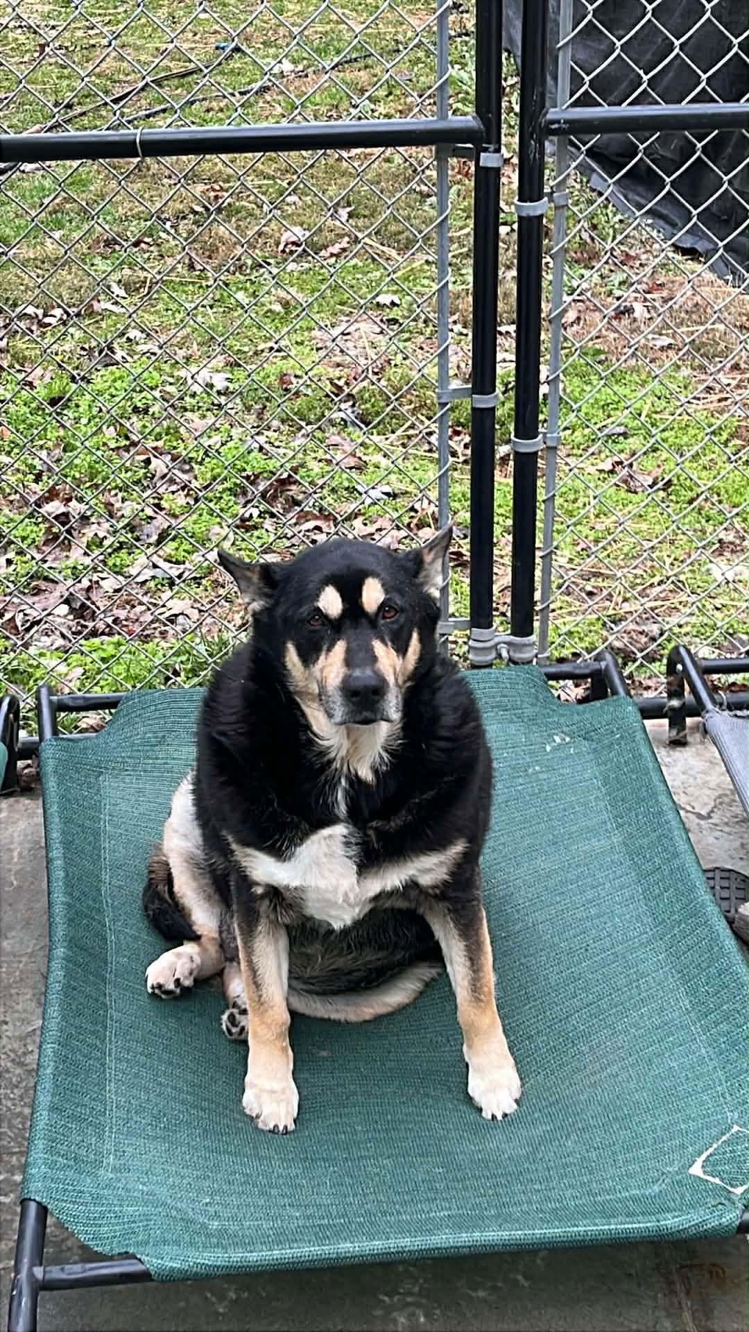 Marilyn Rds thumbnail 2