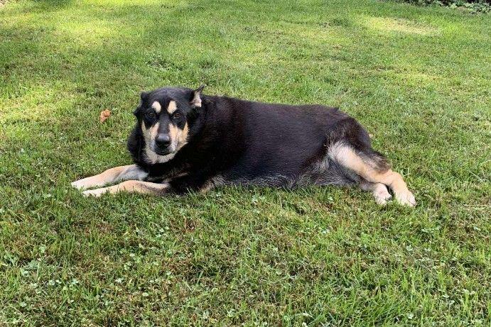 Marilyn Rds thumbnail 3