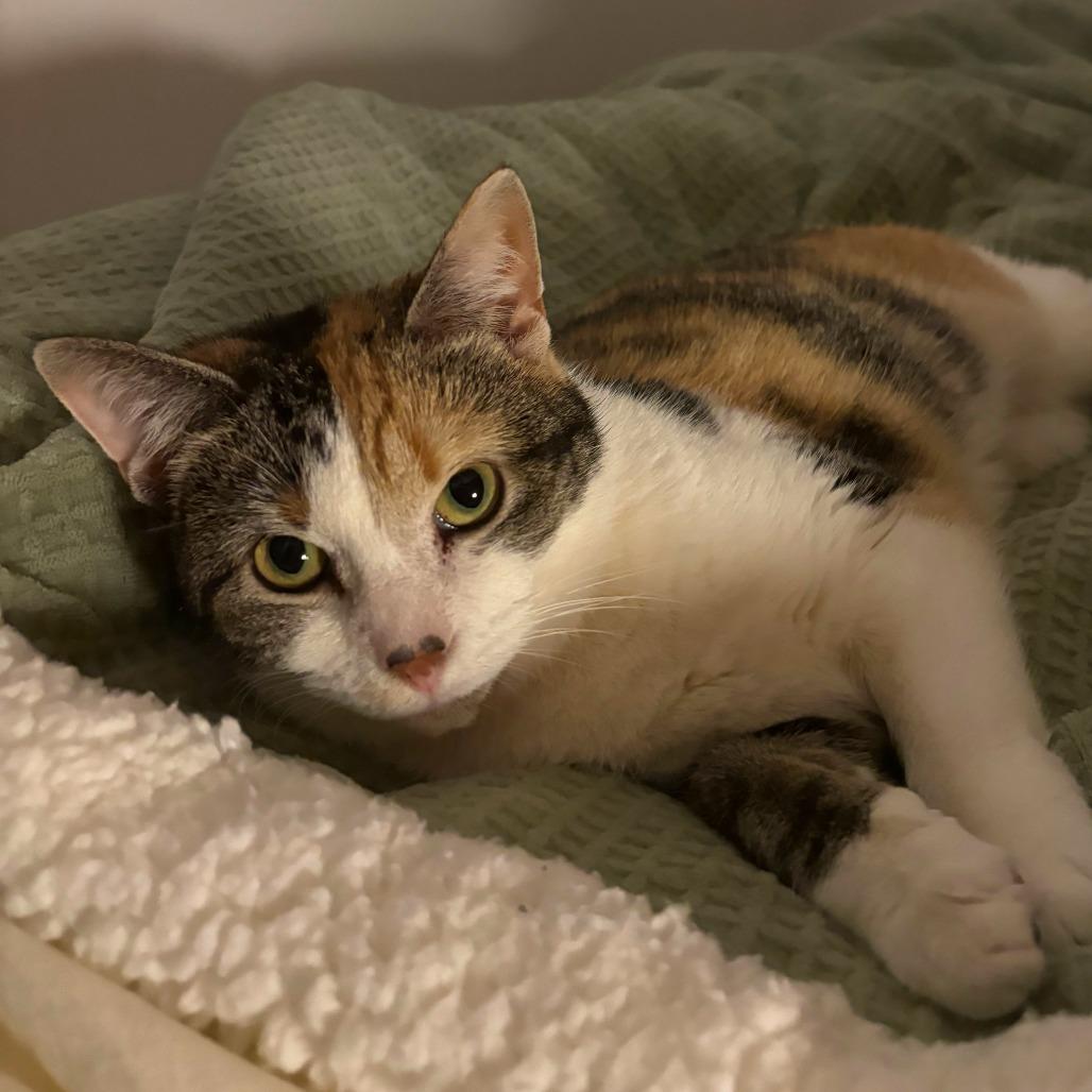 Peep — thumbnail 5